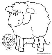 Cute Sheep Coloring Pages