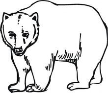 Grizzly Bear Coloring Page Printable