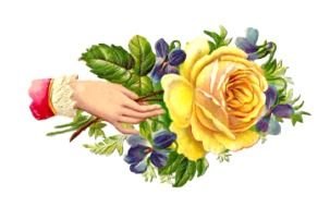 Yellow Rose Clip Art drawing
