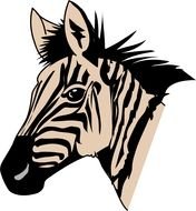 portrait of a zebra head
