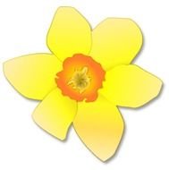 Daffodil Flower Clip Art N5