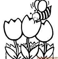 Abeja Sorbiendo N eacutectar De Una Flor