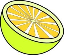 Cartoon Lemon Clip Art N9