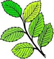 Leaf Cartoon Clip Art N2