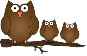 Real three Owl Clip Art drawing