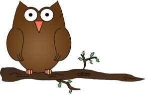 Owl On Branch Clip Art drawing