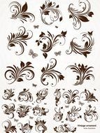 Floral Swirls Vector N3
