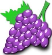 Cartoon Grape Clip Art N2
