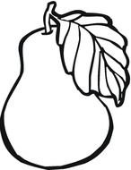 Pear Coloring Page