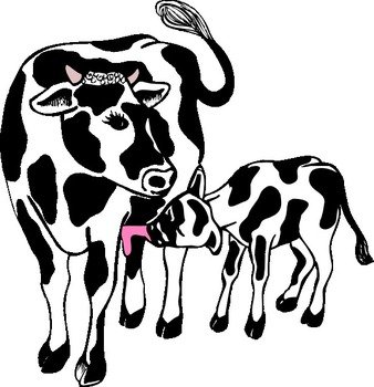 Cartoon Cow And Calf Clip Art