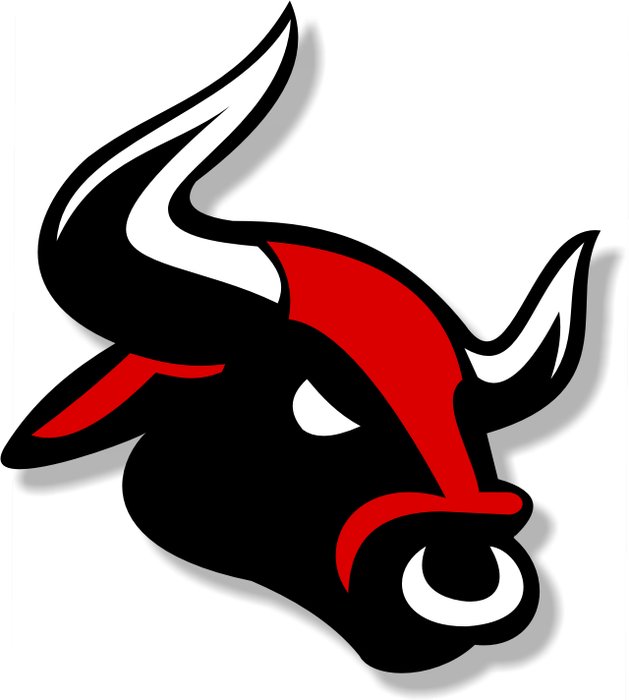 Bulls Logo