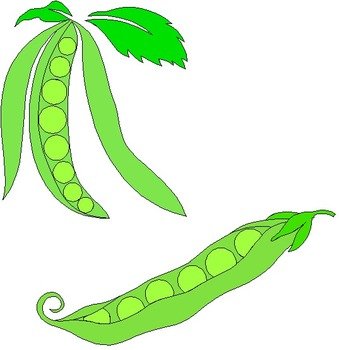 Peas Clip Art N2