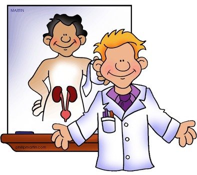 Excretory System