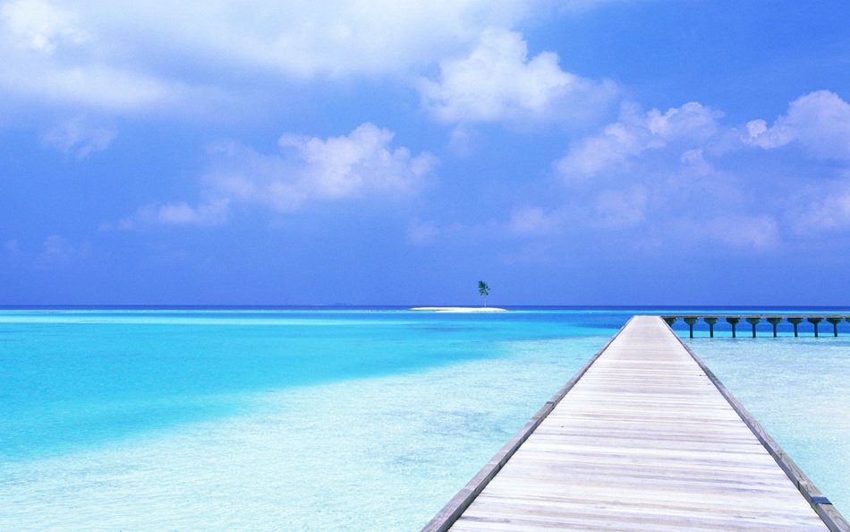 Tropical Beaches And Ocean photo