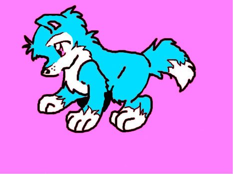 Anime Wolf Pup Drawings
