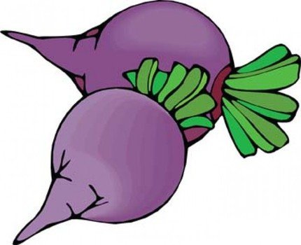 Sugar Beet Clip Art N11