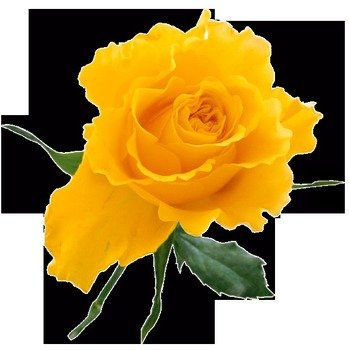 Yellow Rose Clip Art N5