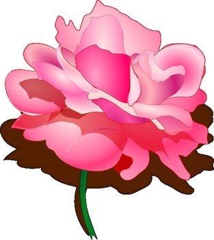 Pink Rose Clip Art N6