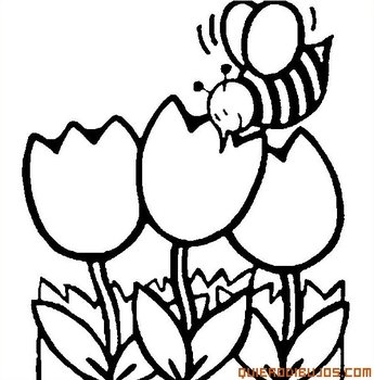 Abeja Sorbiendo N eacutectar De Una Flor