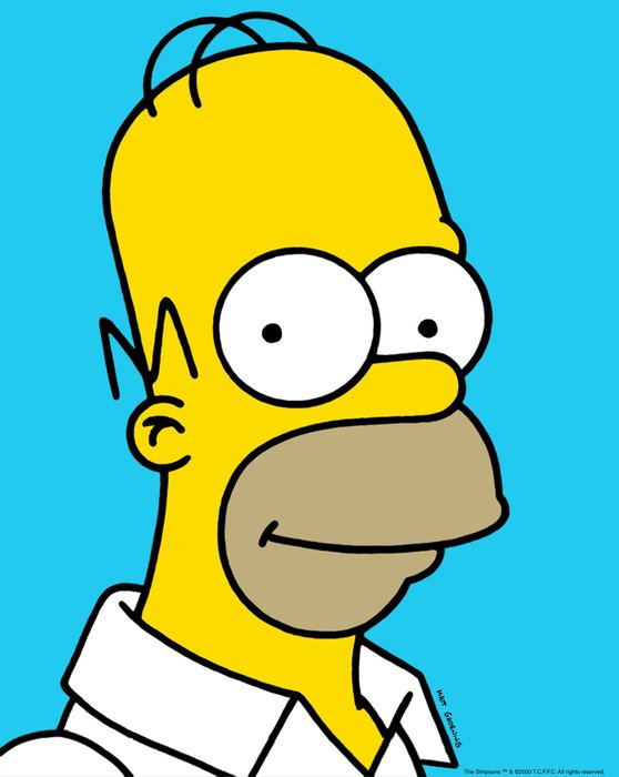 Homer Simpson Face