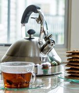 Extra Sturdy Surgical Stainless Steel 2.75 Quart Bellemain Whistling Kettle with Aluminum Layered Bottom N4