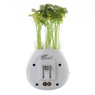 Hausbell C001 Car 7000000 Anion Air Purifier with 5V 2A Car-mounted Charger (Black) N9