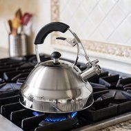 Extra Sturdy Surgical Stainless Steel 2.75 Quart Bellemain Whistling Kettle with Aluminum Layered Bottom N5