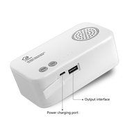 USB Portable Air Purifier / Ionizer - O-Zone Sterilization Remove Cigarette Smoke, Dust,Pollen, Bacteria and Bad...