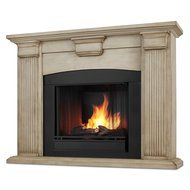 Real Flame Adelaide Ventless Gel Fireplace N4