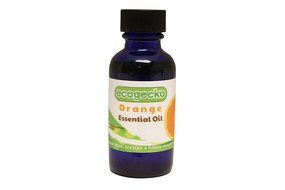 EcoGecko 100% Pure Natural Essential Oils, 4 Pack, Use with EcoGecko Air Revitalizers N3