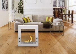 Ignis Tectum Mini White Freestanding Ventless Ethanol Fireplace N9