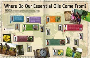 doTERRA Lemongrass Essential Oil 15 mL Calming Blend N2
