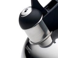 Paula Deen Signature Teakettles Stainless Steel Kettle, 2-Quart N3