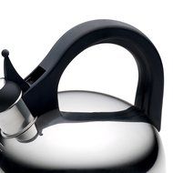 Paula Deen Signature Teakettles Stainless Steel Kettle, 2-Quart N4