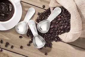 Premium Coffee Scoop (Set of 2) - 2 Tablespoon (Tbsp) - The Best Stainless Steel Measuring Spoons for Coffee,... N2