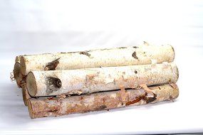 Northern white birch logs. set of 8 logs N2