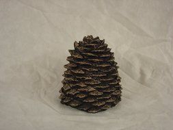 Chimney 48984 Hargrove Large Straight Ceramic Pine Cone For Gas Logs 5.5 Inchh N2