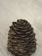 Chimney 48984 Hargrove Large Straight Ceramic Pine Cone For Gas Logs 5.5 Inchh N3