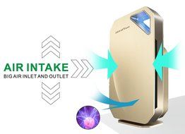 Green Air Purifiers Green Air Encore HEPA and Carbon Filter Alpine Air Purifier with IonCluster Technology N6