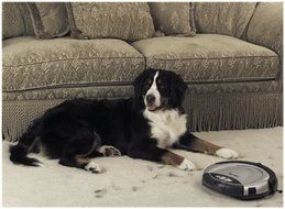 iRobot Roomba Intelligent Floorvac Robotic Vacuum