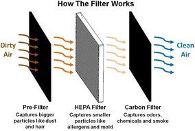 Alen (TF30) HEPA-Fresh Replacement Filter for T100 and T300 Air Purifiers, 1-Pack (set of 2 filters) N4