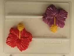 Large Hibiscus Lollipop AO207 All Occasion Chocolate Candy Mold