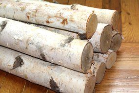 Northern white birch logs. set of 8 logs N3