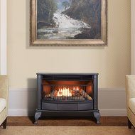 ProCom Vent Free Dual Fuel Stove- 25,000 BTU, Model QNSD250T N2