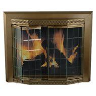 Pleasant Hearth GR-7201 Grandoir Fireplace Glass Door, Antique Brass, Medium