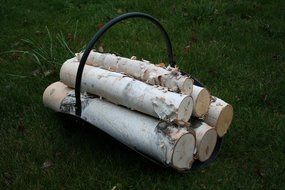White Birch Log Set for Fireplace N3