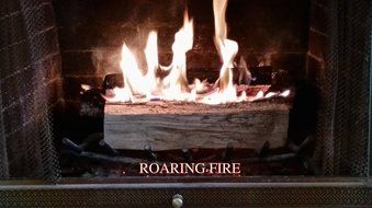 Fireplace Bellows TFS N4