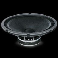 10 Inch 150W 8 Ohm Mid Range / Mid Ba Speaker