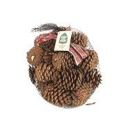 Woodeze Home Indoor Outdoor Christmas Tree Decorative Holiday Centerpiece Scented Pine Cones In Bag Cinnamon by...