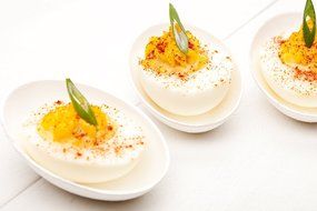 Bagasse Egg Shaped Tasting Dish 100 count box N2